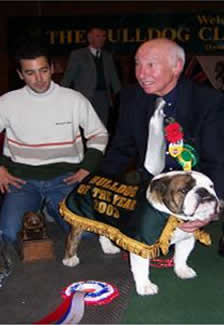 English Bulldog Captain Hudson With Mystyle photo